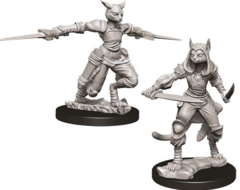 Tabaxi Rogue - Female 73708 - D&D Nolzur's Marvelous Miniatures
